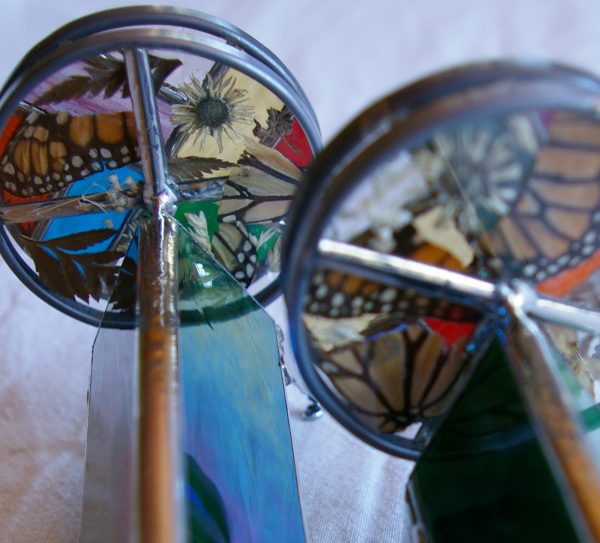 Naturescope - Image 4