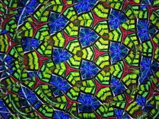 {{brizy_dc_image_alt imageSrc=